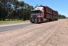 MP slams proposal to cut rural speed limits