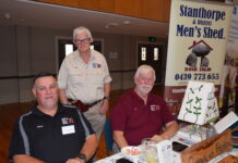 An afternoon of fun for seniors