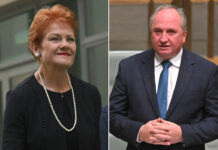 ‘Some hurt in this’: Joyce jumps ship to One Nation