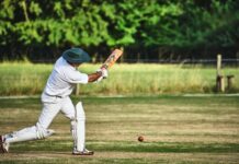 Bourke sets up Redbacks victory