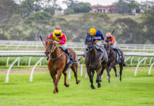 A Boxing Day celebration of racing, community and heart at Warwick