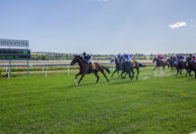 Last minute reprieve for Boxing Day races