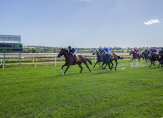 Last minute reprieve for Boxing Day races