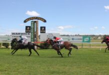 Boxing Day races back from the brink