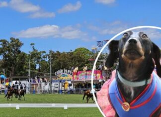 Novelty Dog Show celebrates 150 years