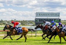 Apprentice pilots Diamantina Rose to victory