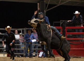 The Friday night rodeo kicks off the Allora Show