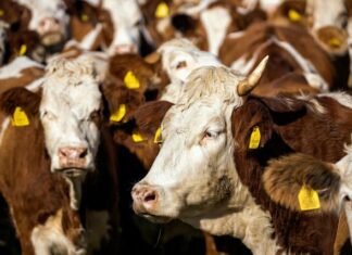 Solid prices across the board