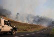 Father and son flee as grass fires claim home