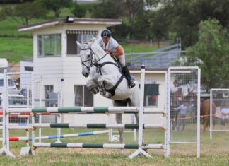 Horse and cattle the cornerstone of show