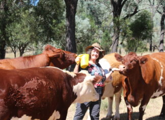 Report finds hope and urgency for rare farm animals