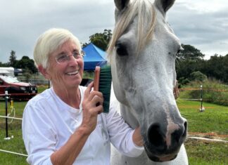 Hoofbeats around the world