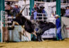 State of origin rodeo headlines Saturday night at Warwick Show