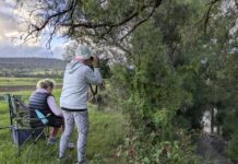 Protecting Killarney’s shyest river residents