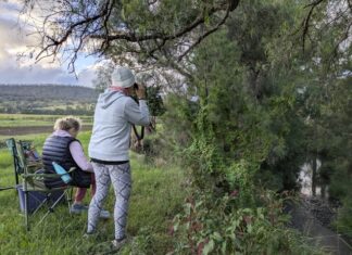 Protecting Killarney’s shyest river residents