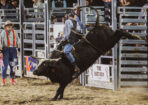 rodeo_541457_02-1