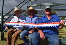 GALLERY: 2026 Warwick Show in pictures