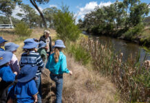 Young eco warriors step up to save rare turtle species