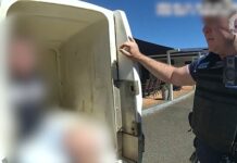 Man in custody after pre-dawn home invasion