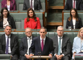 Labor: The budget we had to have