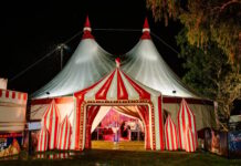 Wars, pandemics, and inflation: Ashton’s Great Australian Circus rolls on