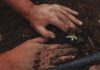 Hands-on ag education event to debut in Warwick