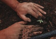 Hands-on ag education event to debut in Warwick