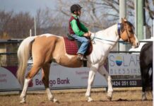 Big turn out for Pony Club events