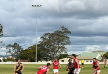 Redbacks go down in arm-wrestle